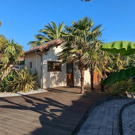Guest House Au Milieu Des Palmiers Saint-Martin-de-Seignanx Экстерьер фото